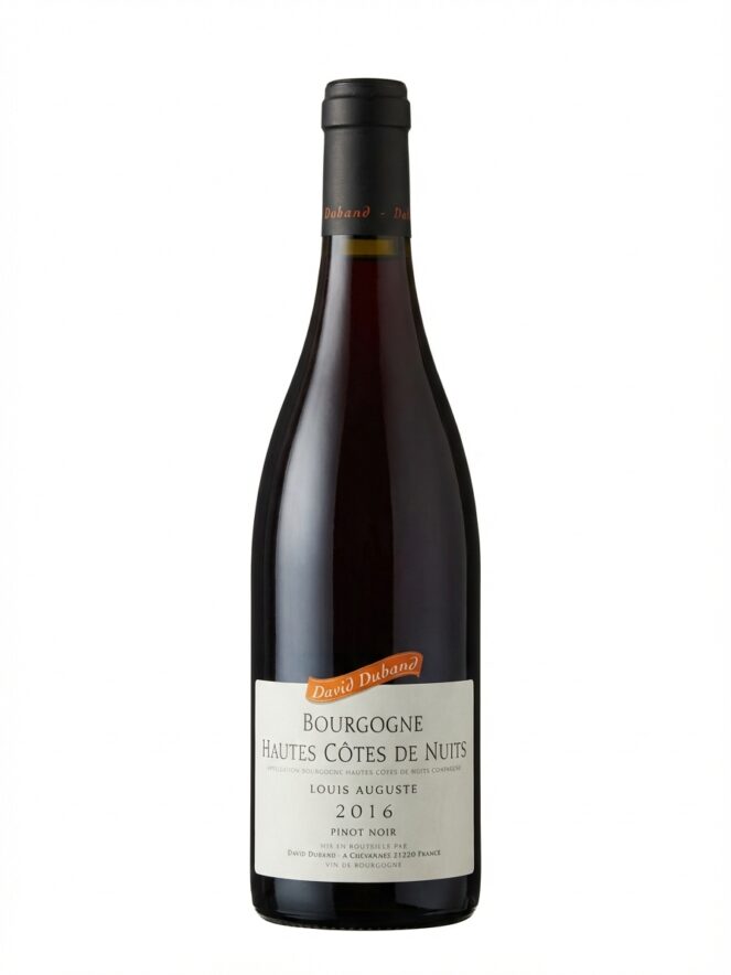 다비드 뒤방 오 코트 드 뉘 루이 오귀스트 2016