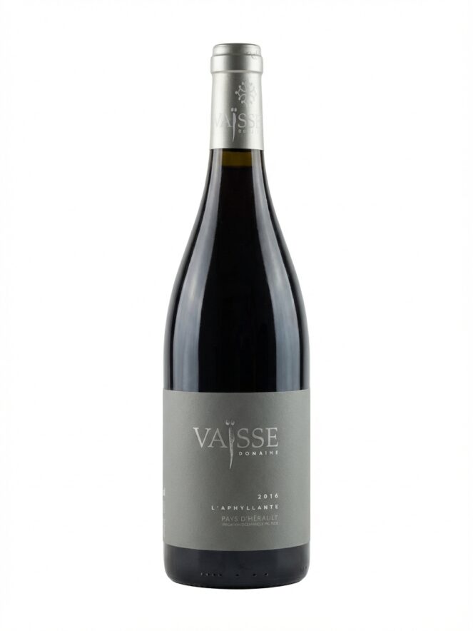 베스 아필랑트 2016