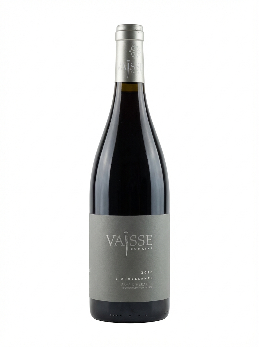 베스 아필랑트 2016