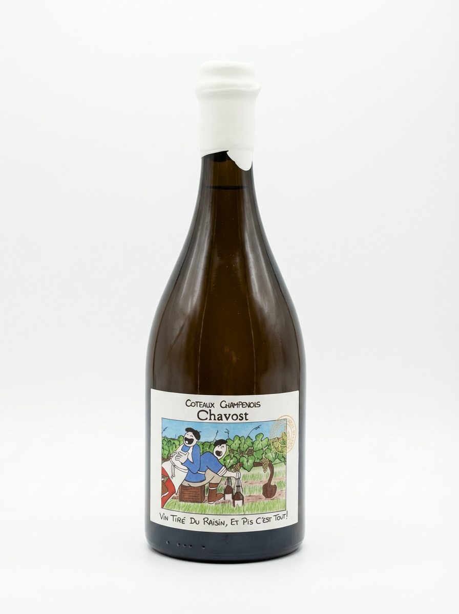 샤보스트 코토 샹프누아 2023