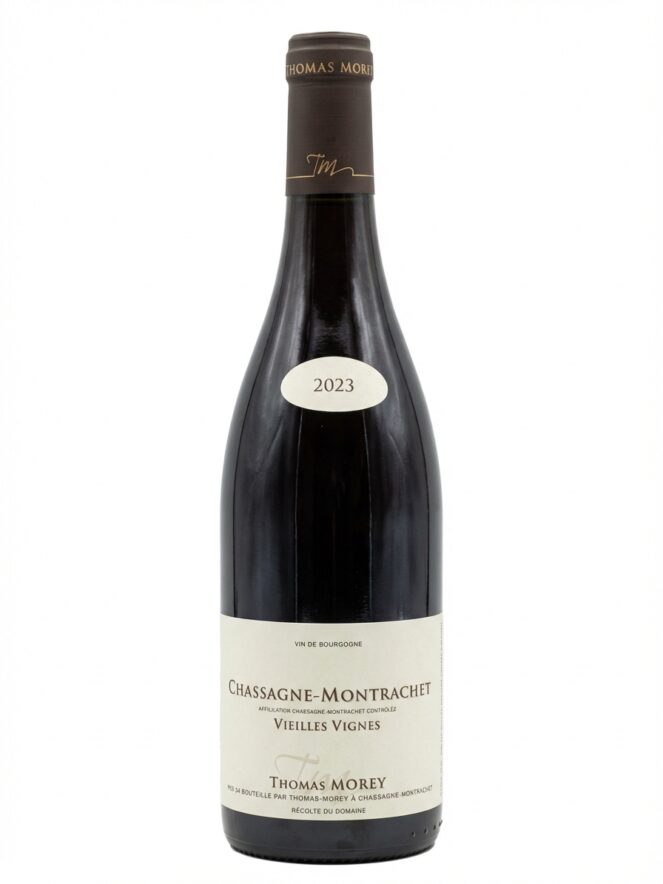 토마 모레 샤샤뉴 몽라셰 비에이 비뉴 2023