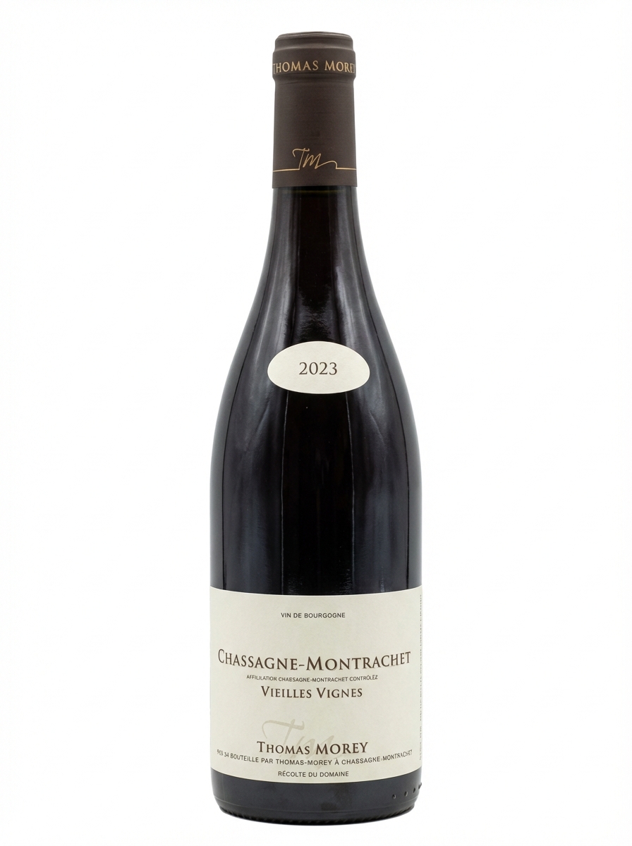 토마 모레 샤샤뉴 몽라셰 비에이 비뉴 2023