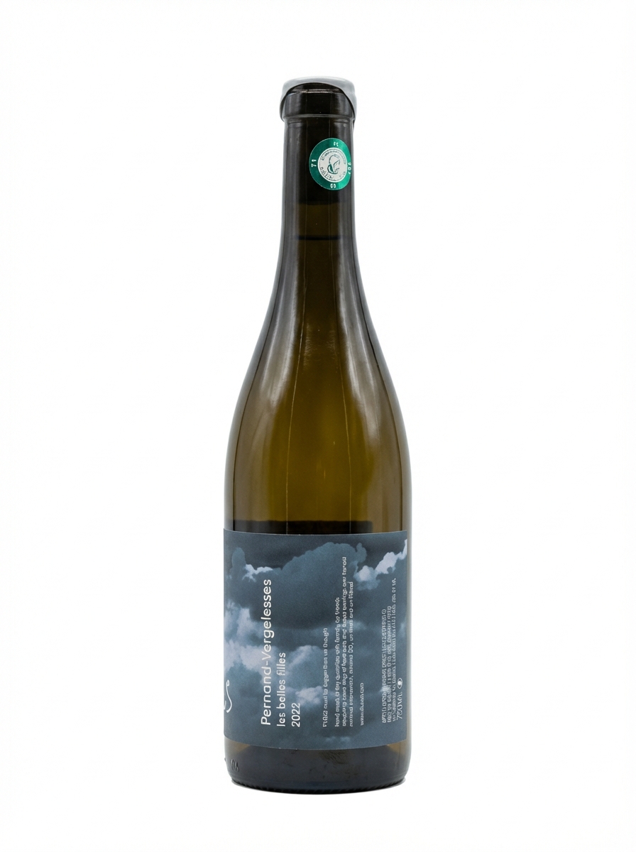 시 튀 세 파트릭 존스턴 페르낭 베르젤레스 레 벨 피 2022