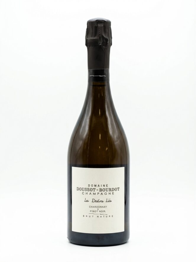 두쏘 부르도 레 데스탕 리에 브뤼 나뛰르 R21