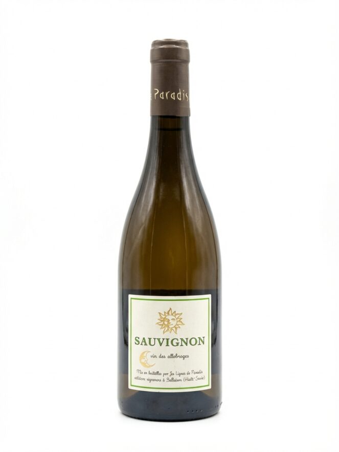 레 비뉴 뒤 파라디 소비뇽 2020