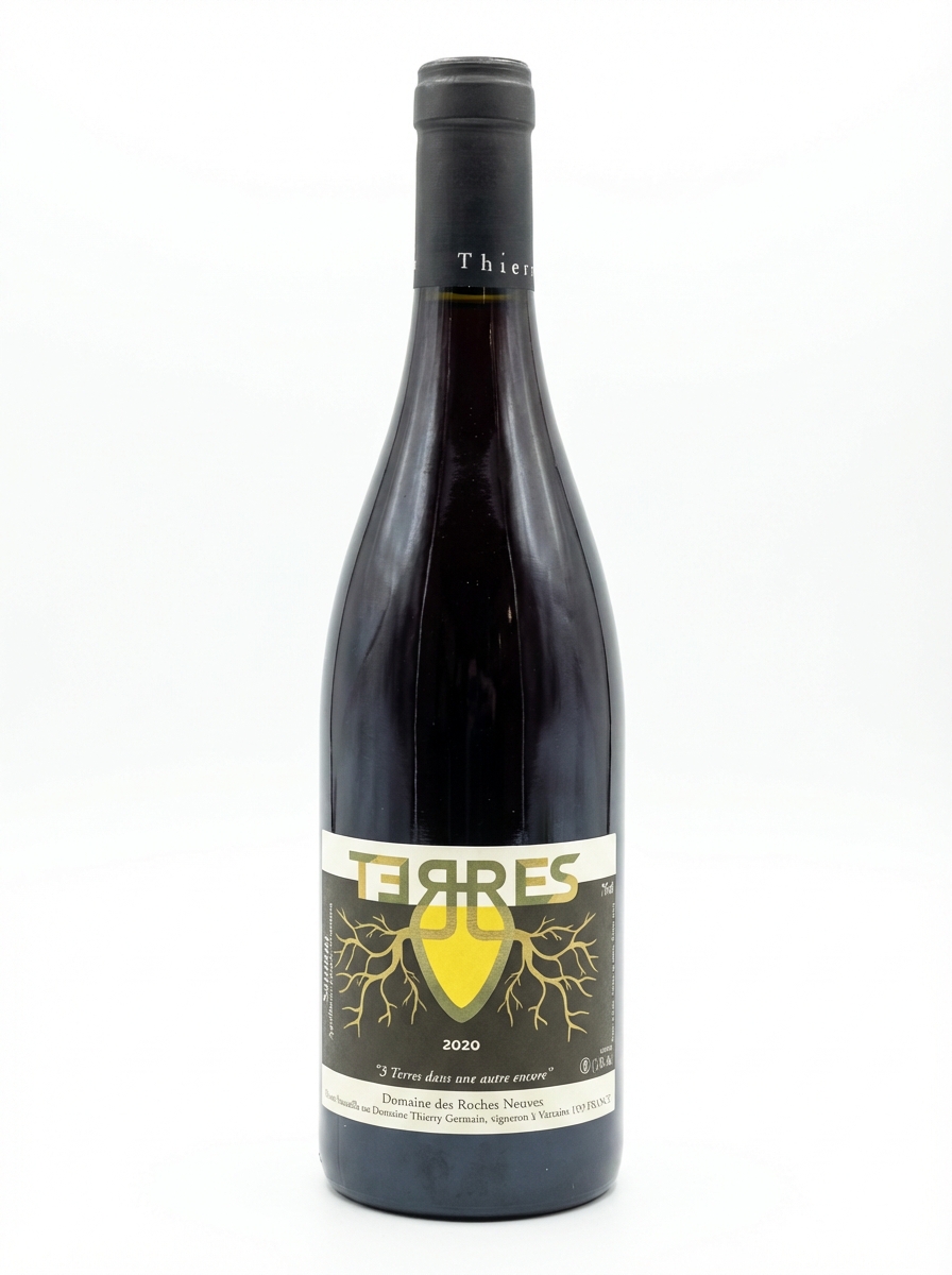 도멘 데 로슈 뇌브 소뮈르 테르 2020