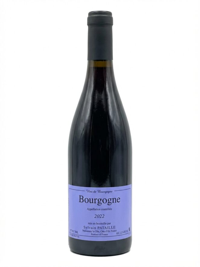 실뱅 파타이으 부르고뉴 2022