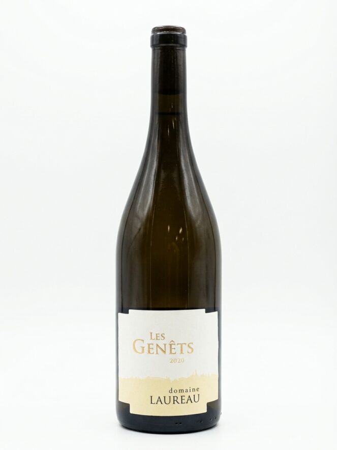 다미앙 로로 사브니에르 레 제네 2020