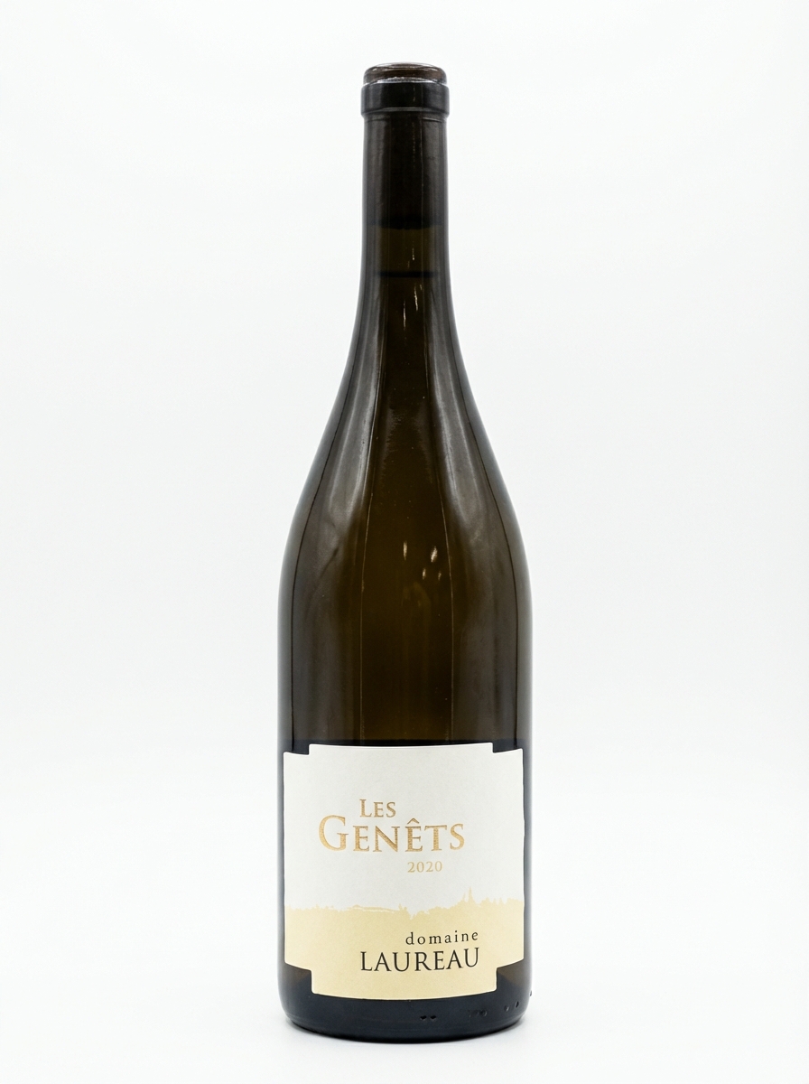 다미앙 로로 사브니에르 레 제네 2020