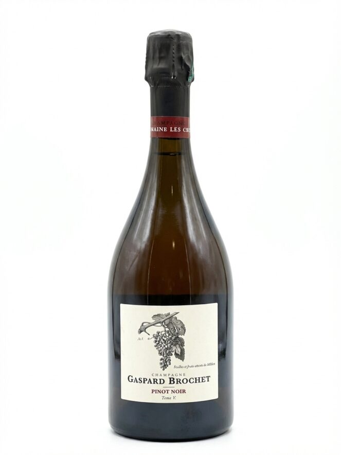 가스파르 브로셰 피노 누아 톰 V