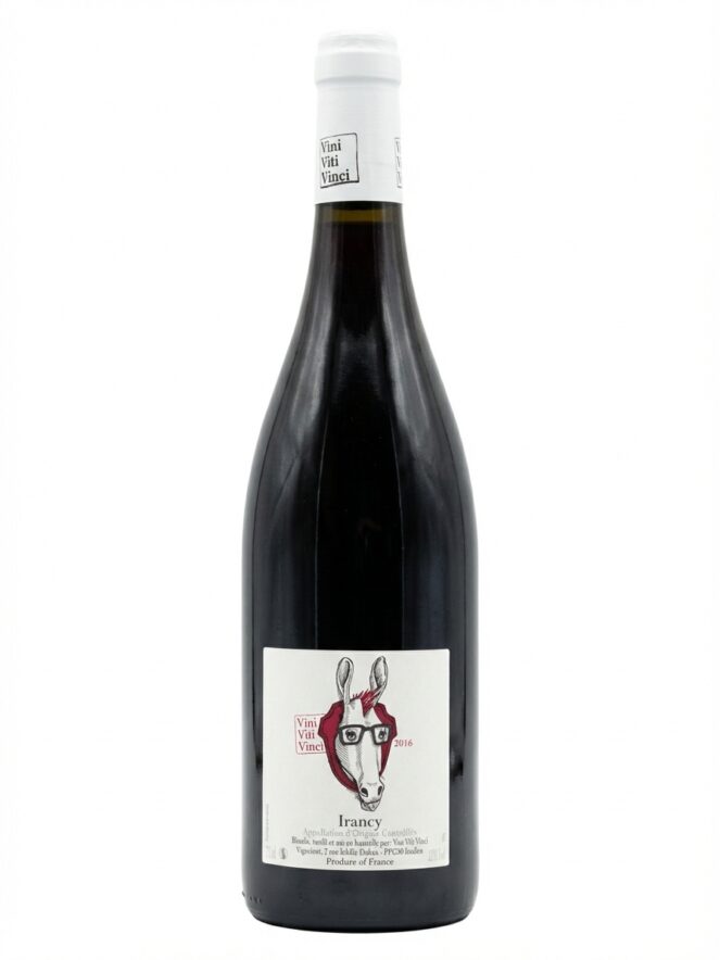 비니 비티 비치 이랑시 2016