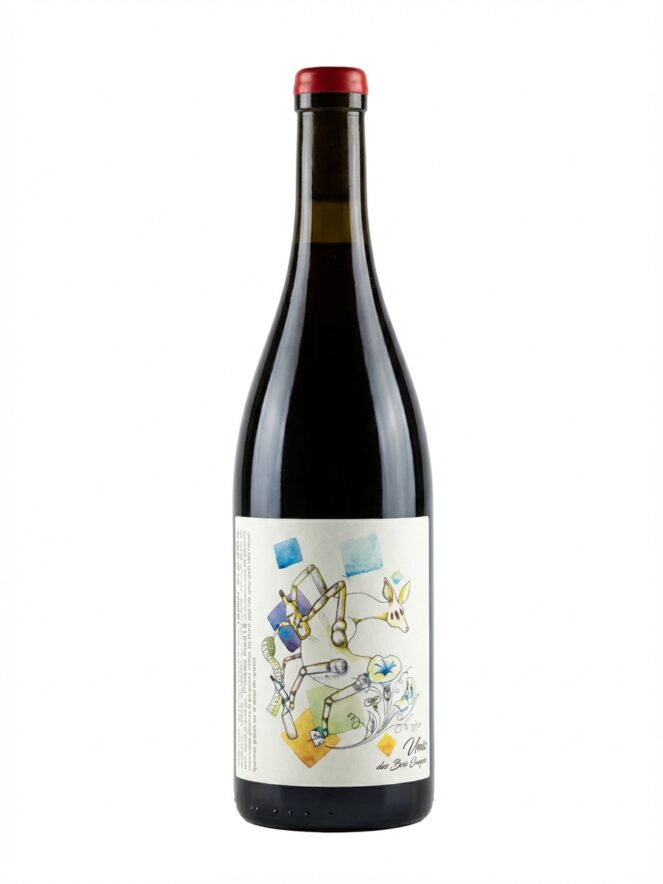 프랑수아 생 로 유니스 데 부아 귀용 2021