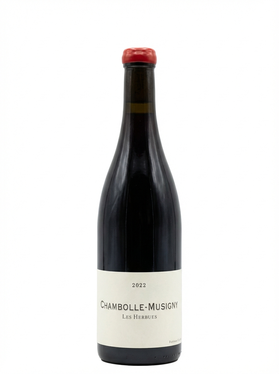 프레데릭 코사르 샹볼 뮈지니 레 제르뷔 2022