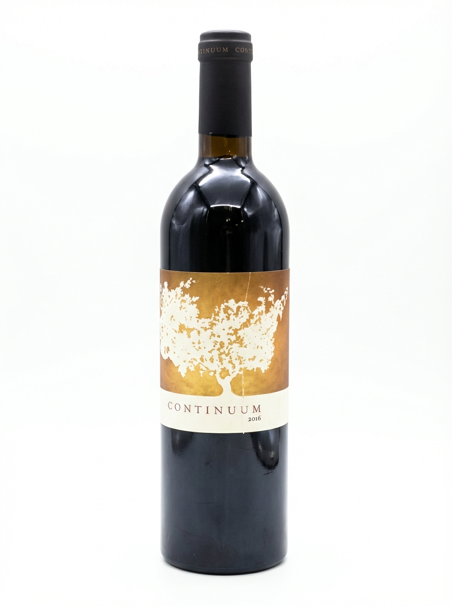 팀 몬다비 콘티뉴엄 2016