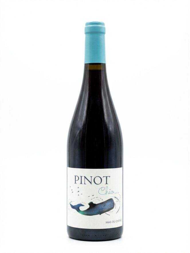 마스 뒤 셴 피노 시오 2023