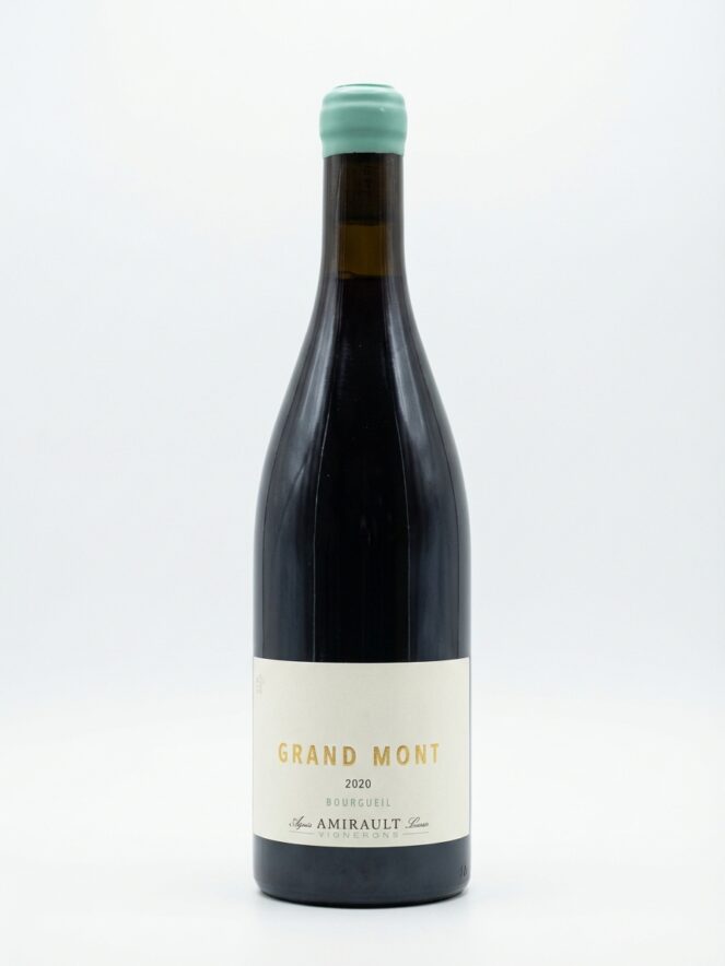 야닉 아미로 부르고일 그랑 몽 2020