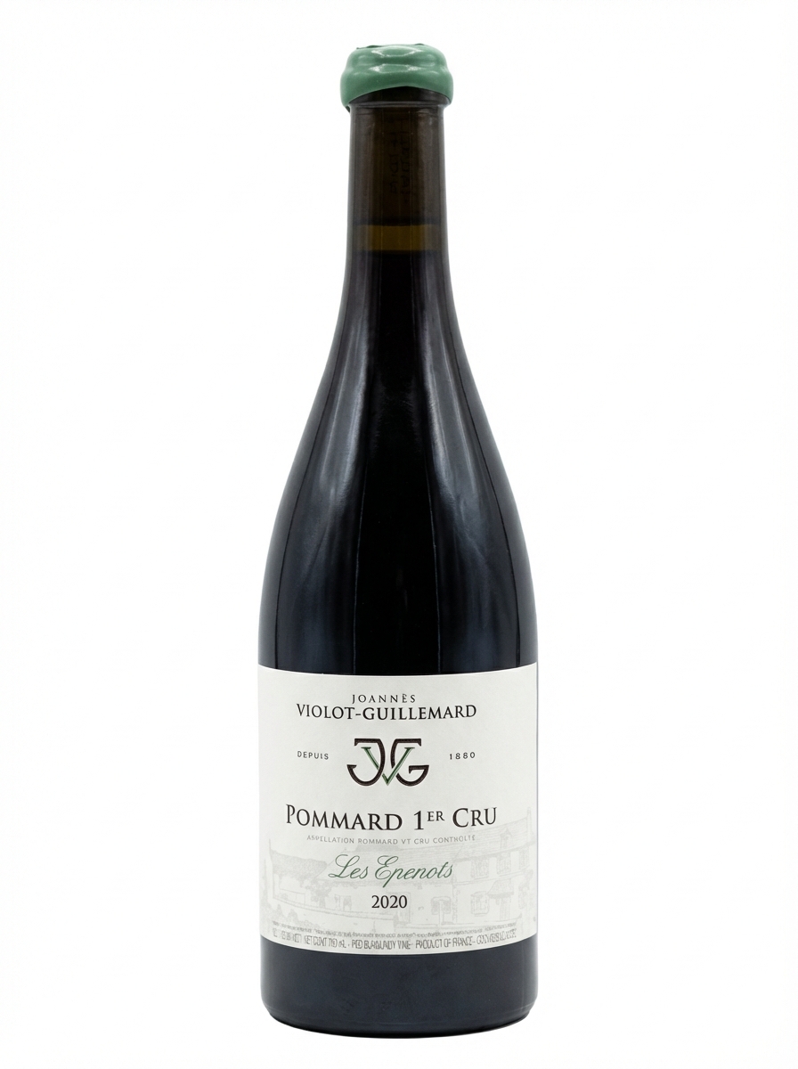 Joanes Violot Guillemard