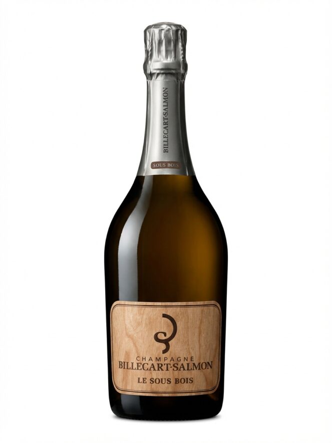 빌까르 살몽 르 수 부아