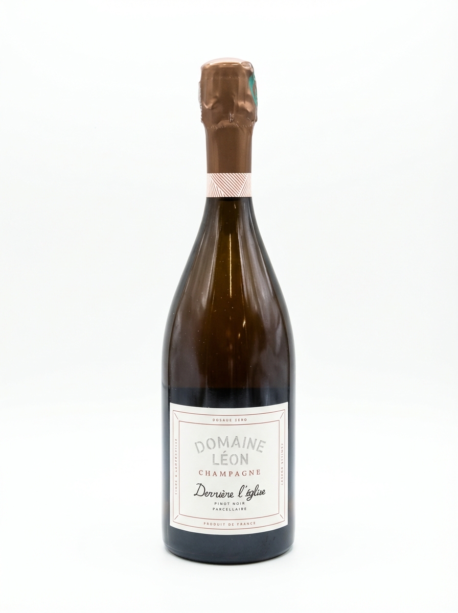도멘 레옹 데리에르 레글리즈 피노 누아
