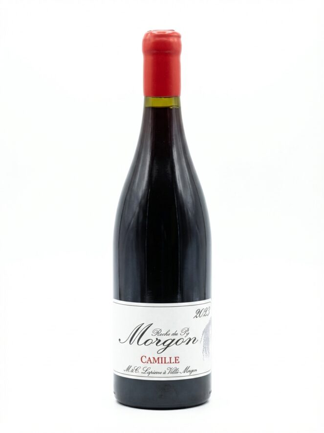 마르셀 라피에르 모르공 뀌베 카미유 2023