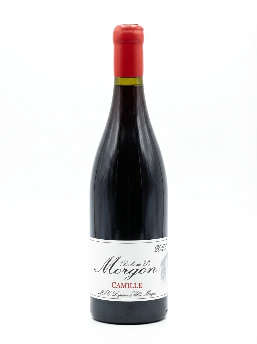 마르셀 라피에르 모르공 뀌베 카미유 2023