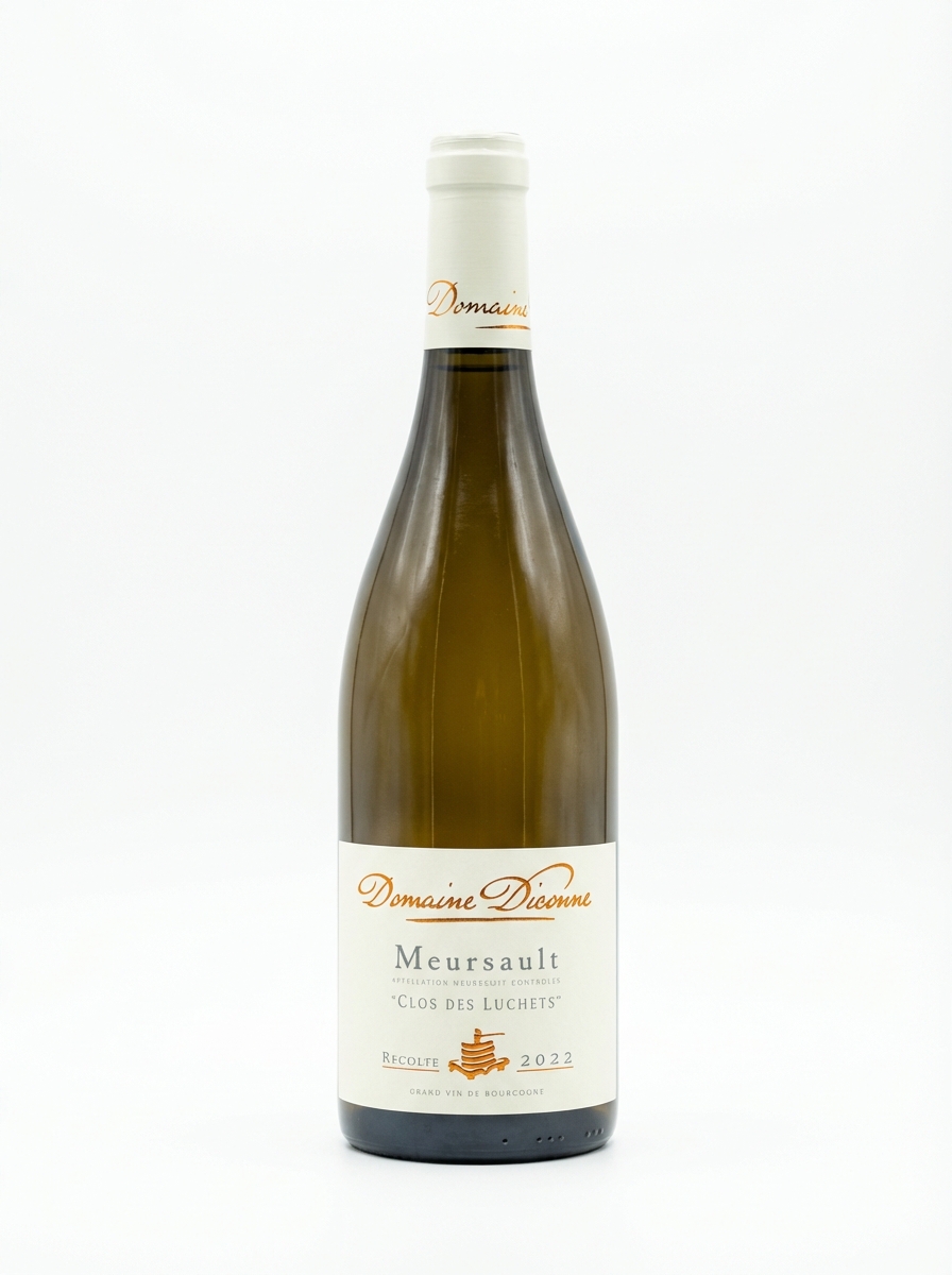 디콘 뫼르소 클로 데 뤼셰 2022