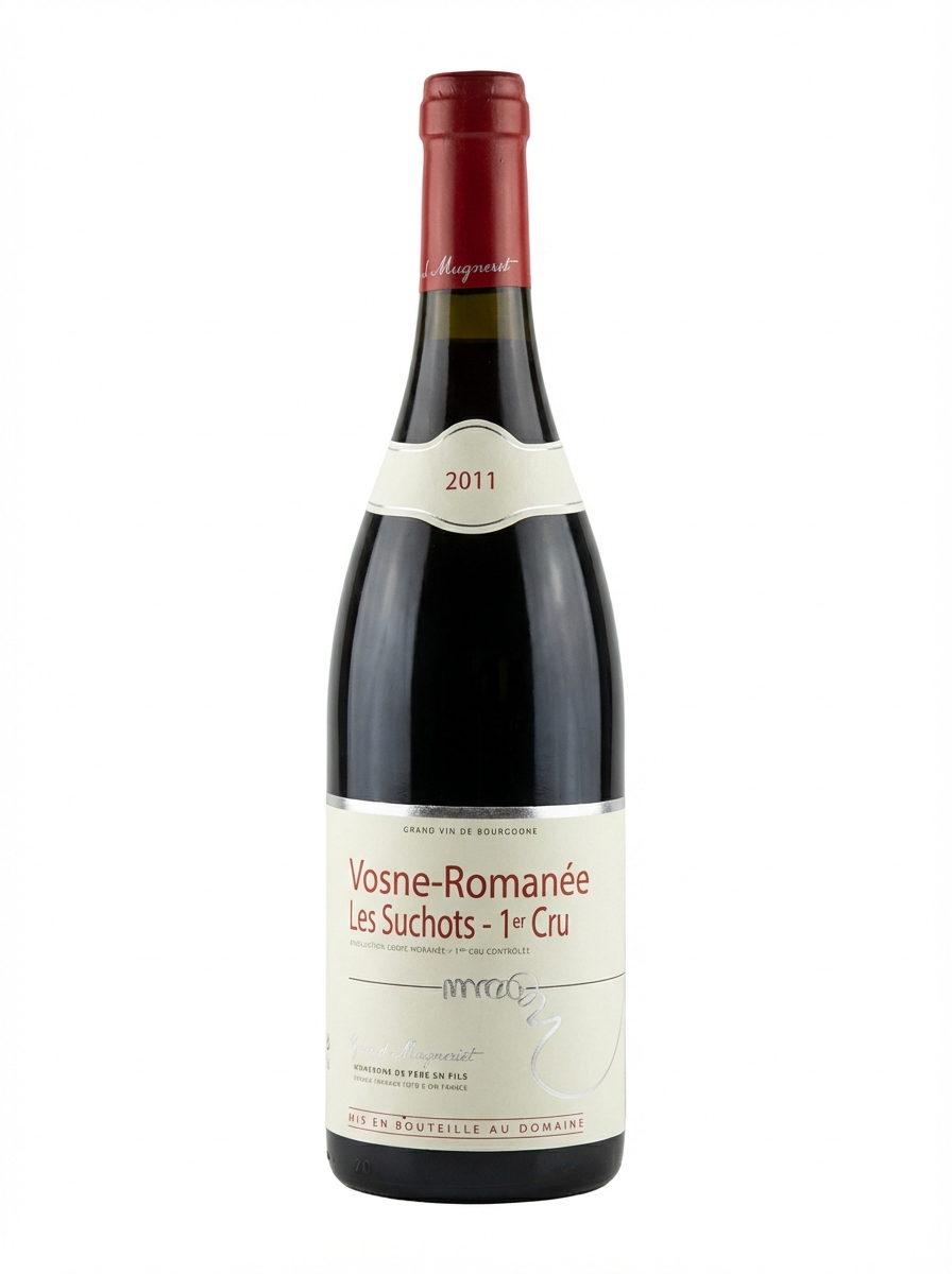 제라르 뮈그네 ヴォーヌ ロマネ プルミエ 크뤼 레 수쇼 2011