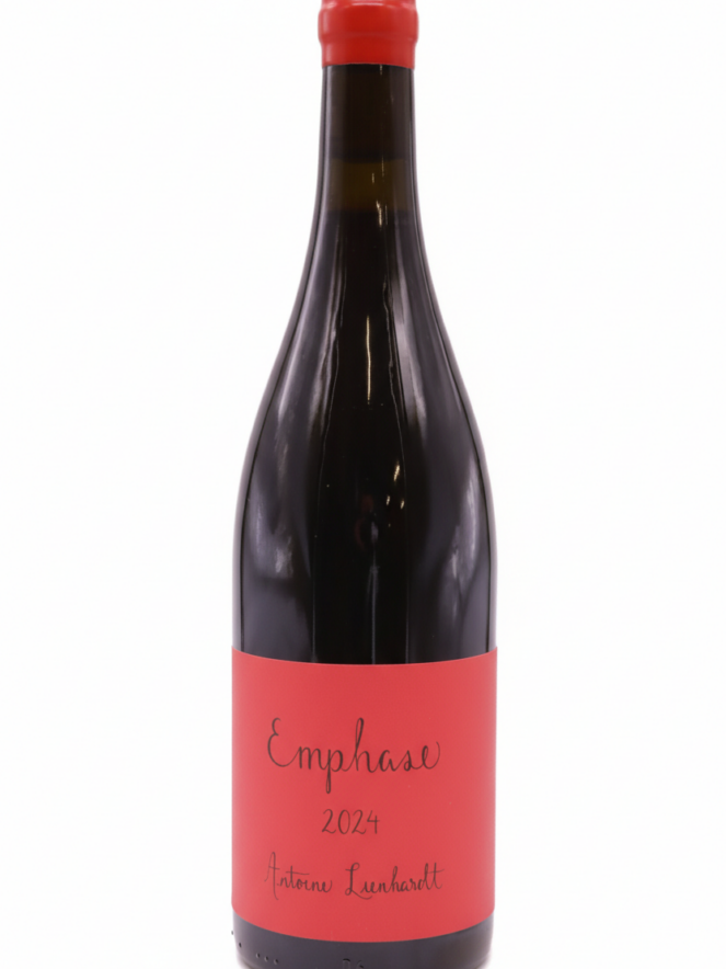 앙투안 리엔하르트 코트 드 뉘 앙파즈 2024