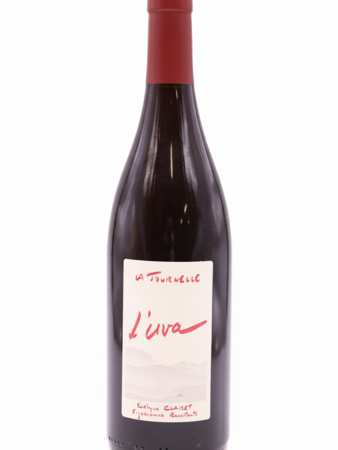 라 투르넬 아르부아 위바 아르보시아나 2023