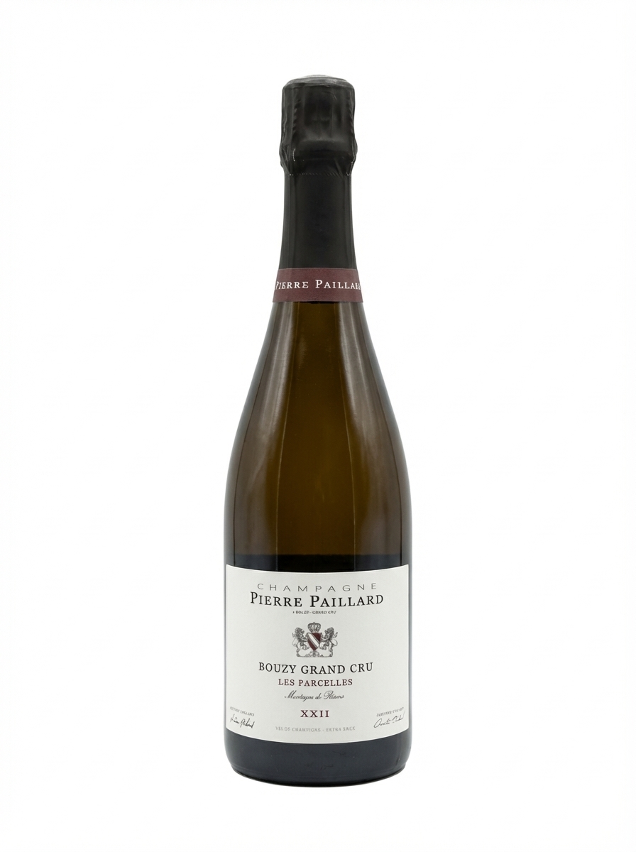 피에르 파이야르 부지 그랑 크뤼 엑스트라 브뤼 레 파르셀 XXII