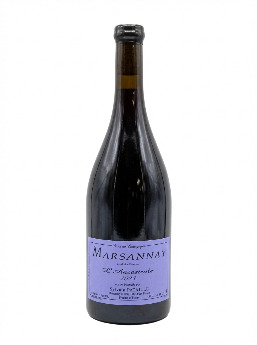 실뱅 파타이으 마르사네 2023