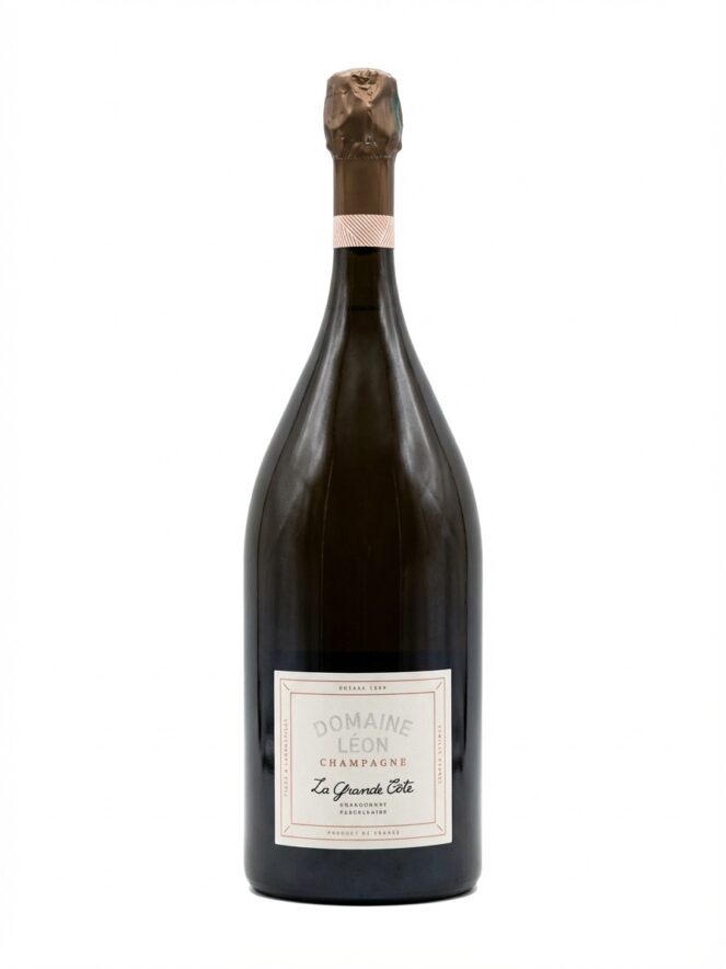 도멘 레옹 라 그랑 코트 브뤼 나튀르 샤르도네