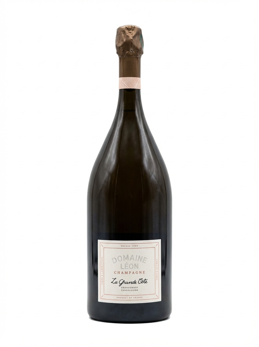 도멘 레옹 라 그랑 코트 브뤼 나튀르 샤르도네