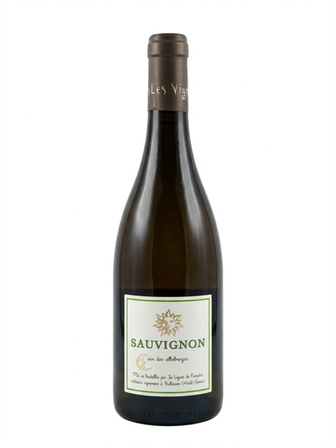 레 비뉴 뒤 파라디 소비뇽 2020