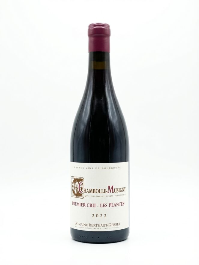 베르토 제르베 샹볼 뮈지니 프르미에 크뤼 레 플랑트 2022