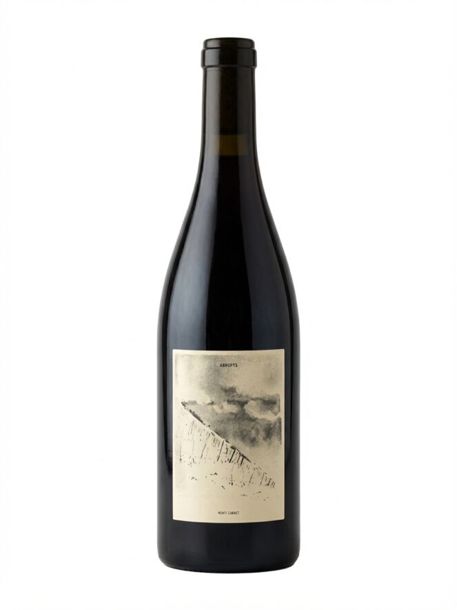 앙리 쇼베 아브럽 2023