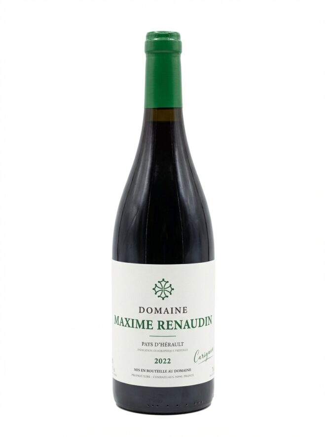 막심 르노댕 카리냥 2022