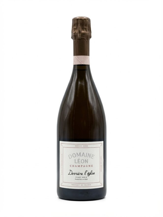 도멘 레옹 데리에르 뢰글리즈 브뤼 나튀르 R22