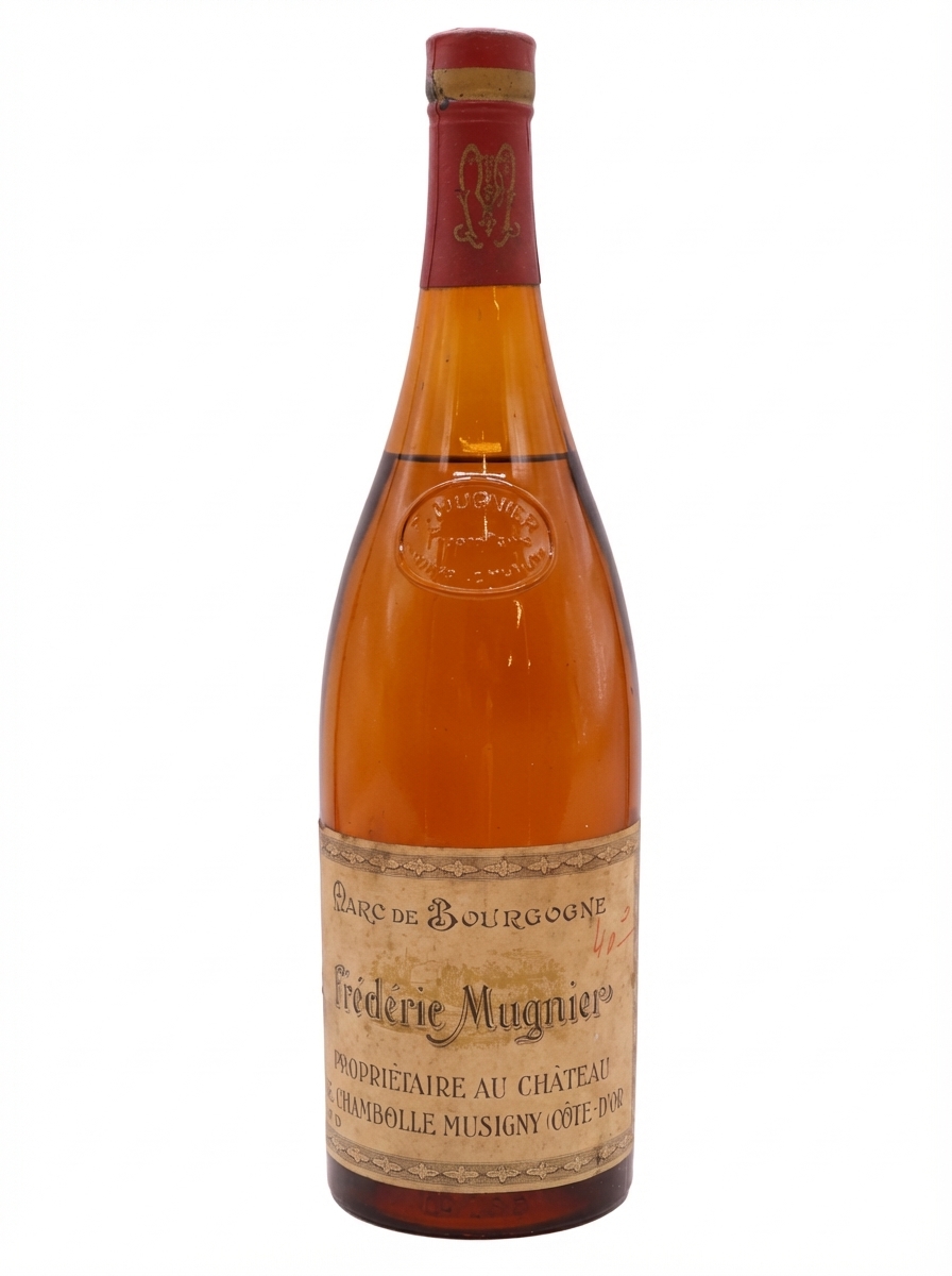 프레데릭 뮈니에 마르 드 부르고뉴