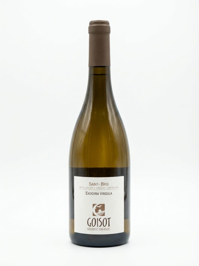 고isot 생 브리 Exogyra Virgula 2023