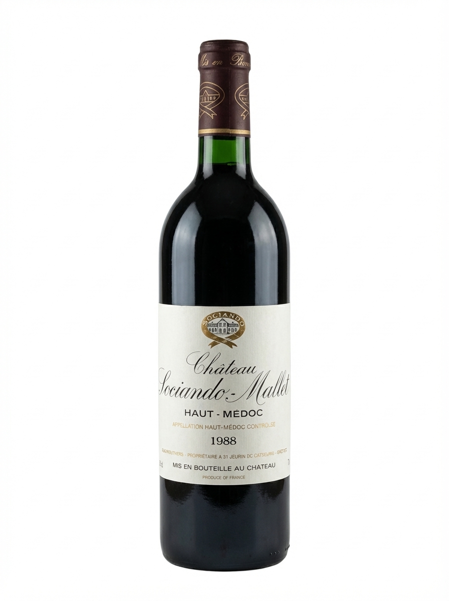 소씨앙도 말레 1988