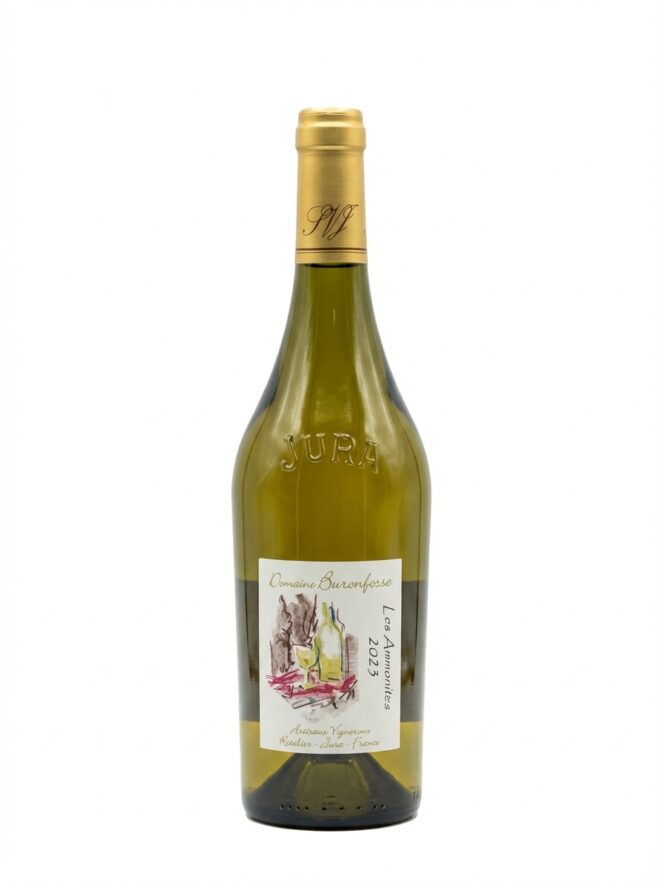 부롱포스 코트 뒤 쥐라 레 암모나이트 2023