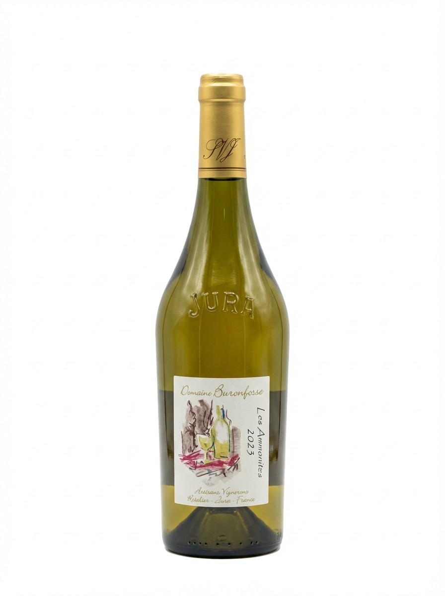 부롱포스 코트 뒤 쥐라 레 암모나이트 2023