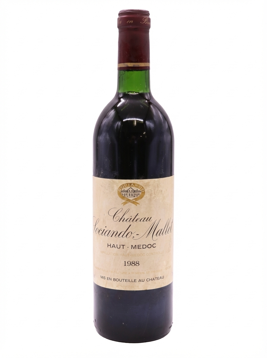 소씨앙도 말레 1988