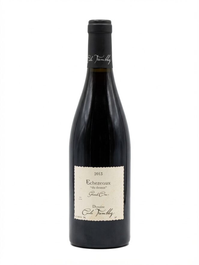 세실 트랑블레 에세조 뒤 드쉬 2013