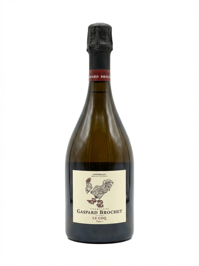 가스파르 브로셰 르 코크 아상블라주 톰 1