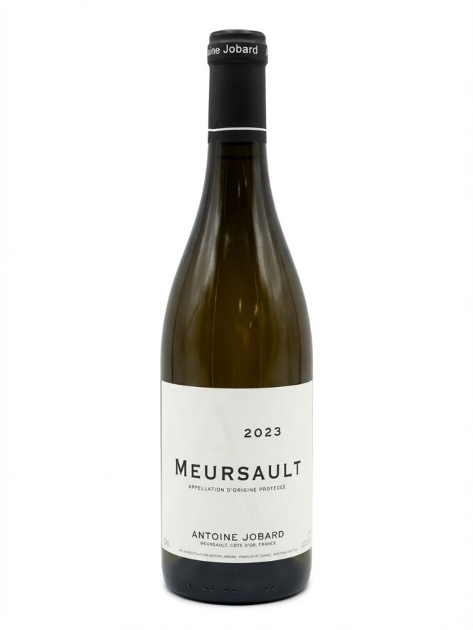 앙투안 조바르 뫼르소 2023