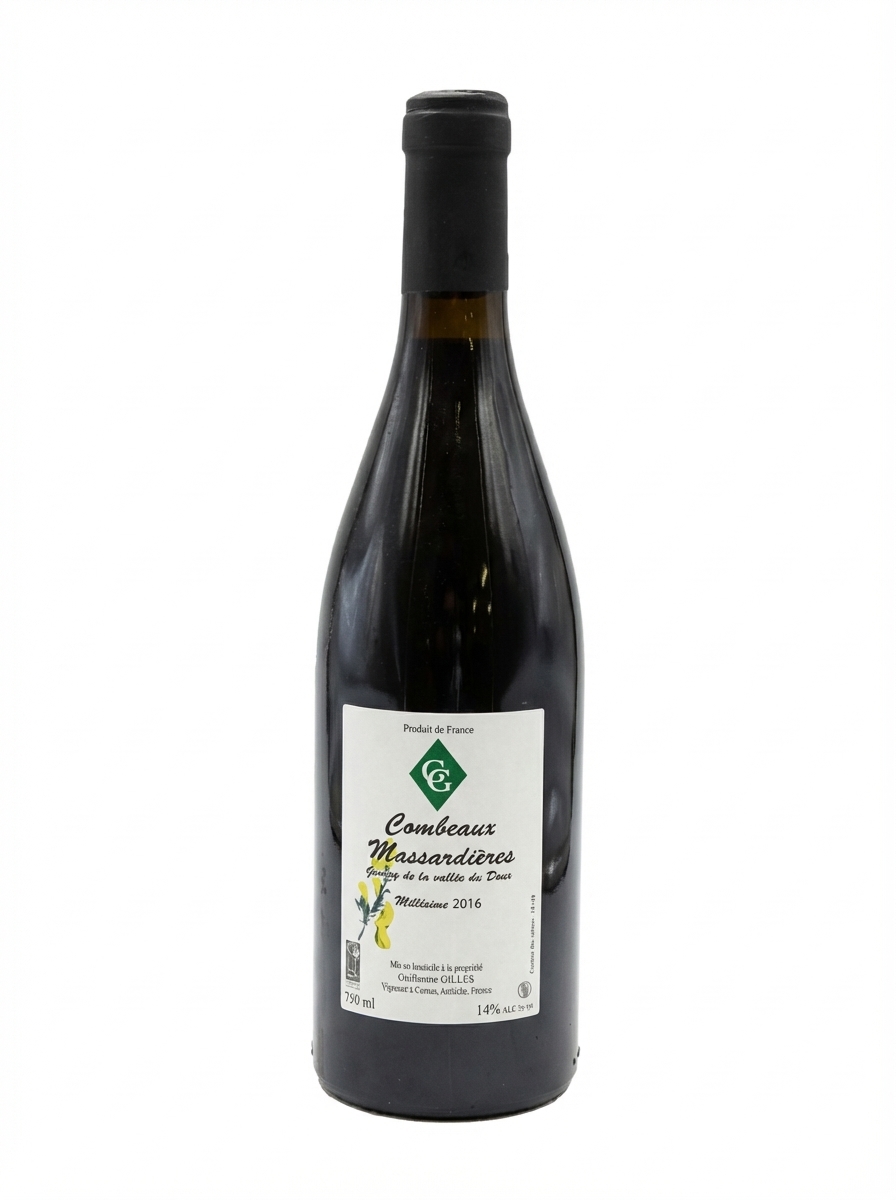 기욤 질 꼼보 마싸디에르 2016