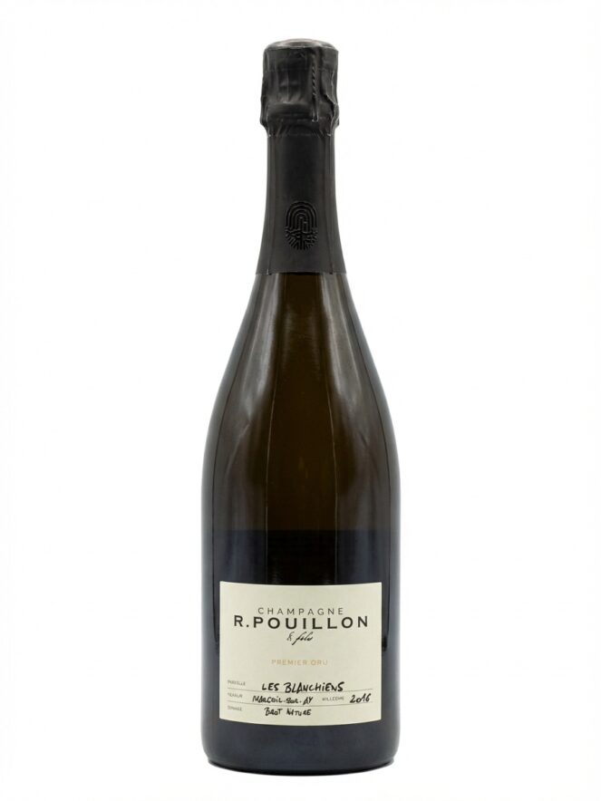 알 퓌용 프리미에 크뤼 레 블랑시앙 브뤼 나튀르 2016