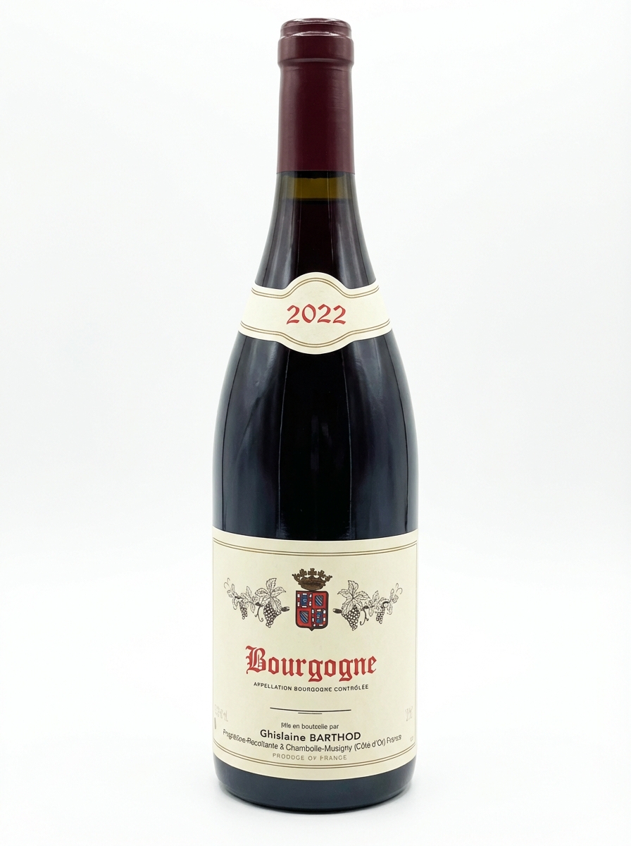 기슬렌 바르토 부르고뉴 2022
